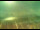 Webcam in Sveti Vid-Miholjice (Krk), 5.5 mi away
