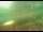 Webcam in Sveti Vid-Miholjice (Krk), 5.5 mi away