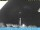 Webcam in Brienz, 3.7 km
