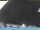 Webcam in Brienz, 12.7 km