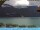 Webcam in Brienz, 4.3 km entfernt