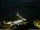 Webcam in Ponta do Garajau (Madeira), 6.3 km