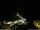 Webcam in Ponta do Garajau (Madeira), 6 km entfernt
