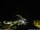 Webcam in Ponta do Garajau (Madeira), 67.2 km entfernt