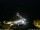 Webcam in Ponta do Garajau (Madeira), 6.3 km