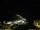 Webcam in Ponta do Garajau (Madeira), 67.2 km entfernt