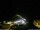 Webcam in Ponta do Garajau (Madeira), 14.8 km