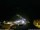 Webcam in Ponta do Garajau (Madeira), 6.3 km