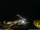 Webcam in Ponta do Garajau (Madeira), 12.4 km entfernt