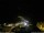 Webcam in Ponta do Garajau (Madeira), 13.4 km entfernt