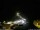 Webcam in Ponta do Garajau (Madeira), 13.4 km entfernt