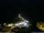 Webcam in Ponta do Garajau (Madeira), 12.4 km