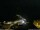 Webcam in Ponta do Garajau (Madeira), 967.3 km