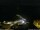 Webcam in Ponta do Garajau (Madeira), 1248.9 km
