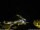 Webcam in Ponta do Garajau (Madeira), 5.2 mi away