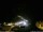 Webcam in Ponta do Garajau (Madeira), 15.1 mi away