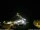 Webcam in Ponta do Garajau (Madeira), 2.4 mi away