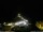 Webcam in Ponta do Garajau (Madeira), 373.2 mi away