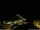 Webcam in Ponta do Garajau (Madeira), 13.4 km