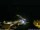 Webcam in Ponta do Garajau (Madeira), 7.4 mi away