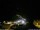 Webcam in Ponta do Garajau (Madeira), 12 km entfernt