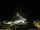 Webcam in Ponta do Garajau (Madeira), 7.9 km