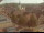 Webcam in Röttingen, 51.6 km
