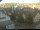Webcam in Röttingen, 39.1 km
