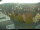Webcam in Röttingen, 10.6 mi away