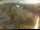 Webcam in Röttingen, 43.8 km entfernt