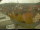 Webcam in Röttingen, 27.5 km entfernt