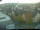 Webcam in Röttingen, 39.1 km entfernt