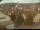 Webcam in Röttingen, 9.3 mi away