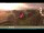 Webcam in Oberaudorf, 5.4 km