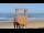 Webcam in Biscarrosse, 5 mi away