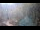 Webcam in Saint-Jean-Saint-Nicolas, 16.7 km entfernt