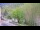 Webcam in Saint-Jean-Saint-Nicolas, 0 km