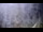 Webcam in Saint-Jean-Saint-Nicolas, 0 km