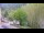 Webcam in Saint-Jean-Saint-Nicolas, 23 km