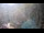 Webcam in Saint-Jean-Saint-Nicolas, 13.5 km entfernt