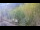 Webcam in Saint-Jean-Saint-Nicolas, 23 km