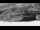 Webcam in Skagen, 0.2 mi away