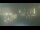 Webcam in Charlotte, North Carolina, 110.6 mi away