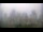Webcam in Charlotte, North Carolina, 3.6 mi away
