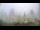 Webcam in Charlotte, North Carolina, 284.7 km