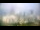 Webcam in Charlotte, North Carolina, 141.1 km