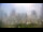 Webcam in Charlotte, North Carolina, 113.3 mi away