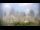 Webcam in Charlotte, North Carolina, 3.6 mi away