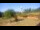 Webcam in Powell, Ohio, 60.1 km
