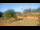 Webcam in Powell, Ohio, 102.2 km
